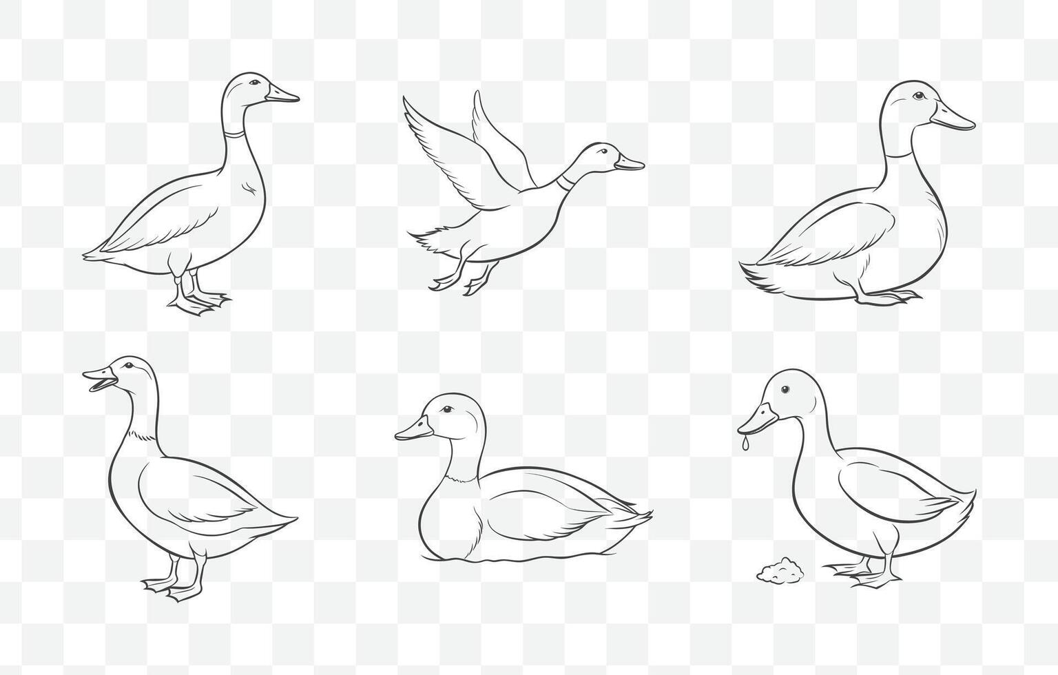 Print Detailed Mallard Duck Line Art Set with Intricate Illustrations for Creative Projects vector