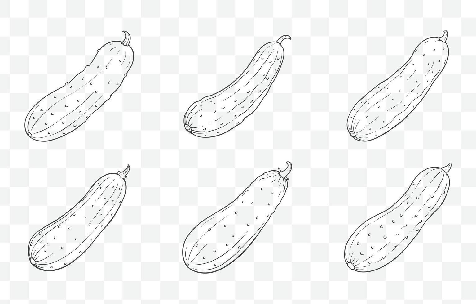Print Cucumber Line Art Set Detailed Illustrations of Fresh Cucumbers for Design Projects and Creative Use vector
