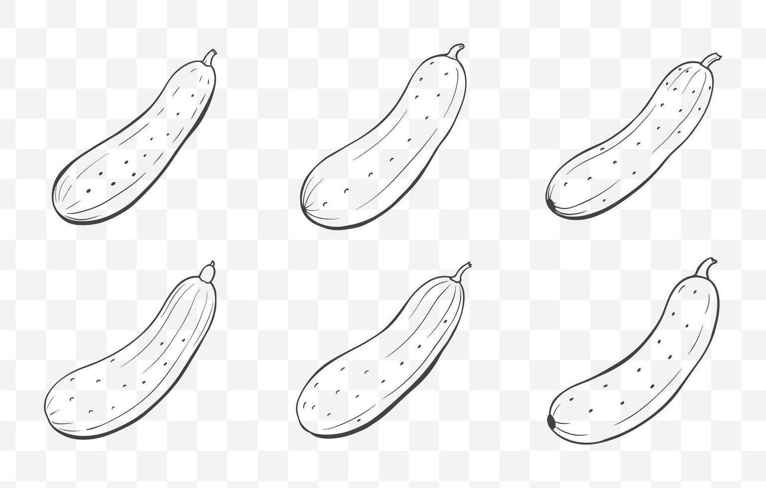 Print Cucumber Line Art Set with Intricate Details for Botanical Illustrations and Creative Design Projects vector