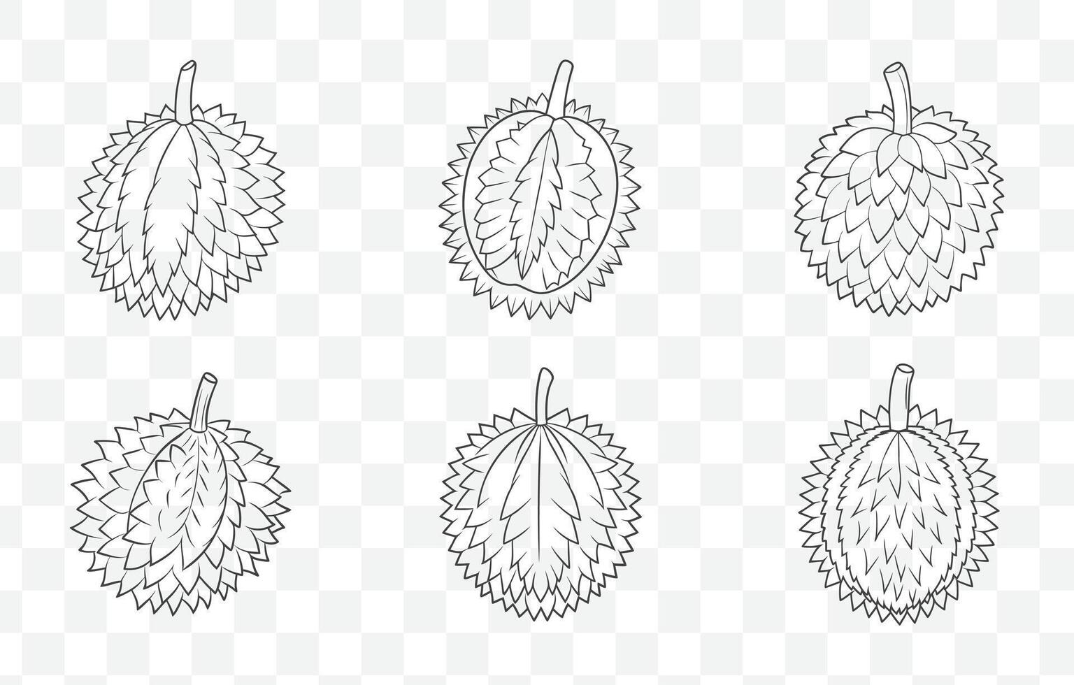 Print Durian Line Art Set Detailed Illustrations of the King of Fruits in Minimalist Style for Artistic Design Projects vector