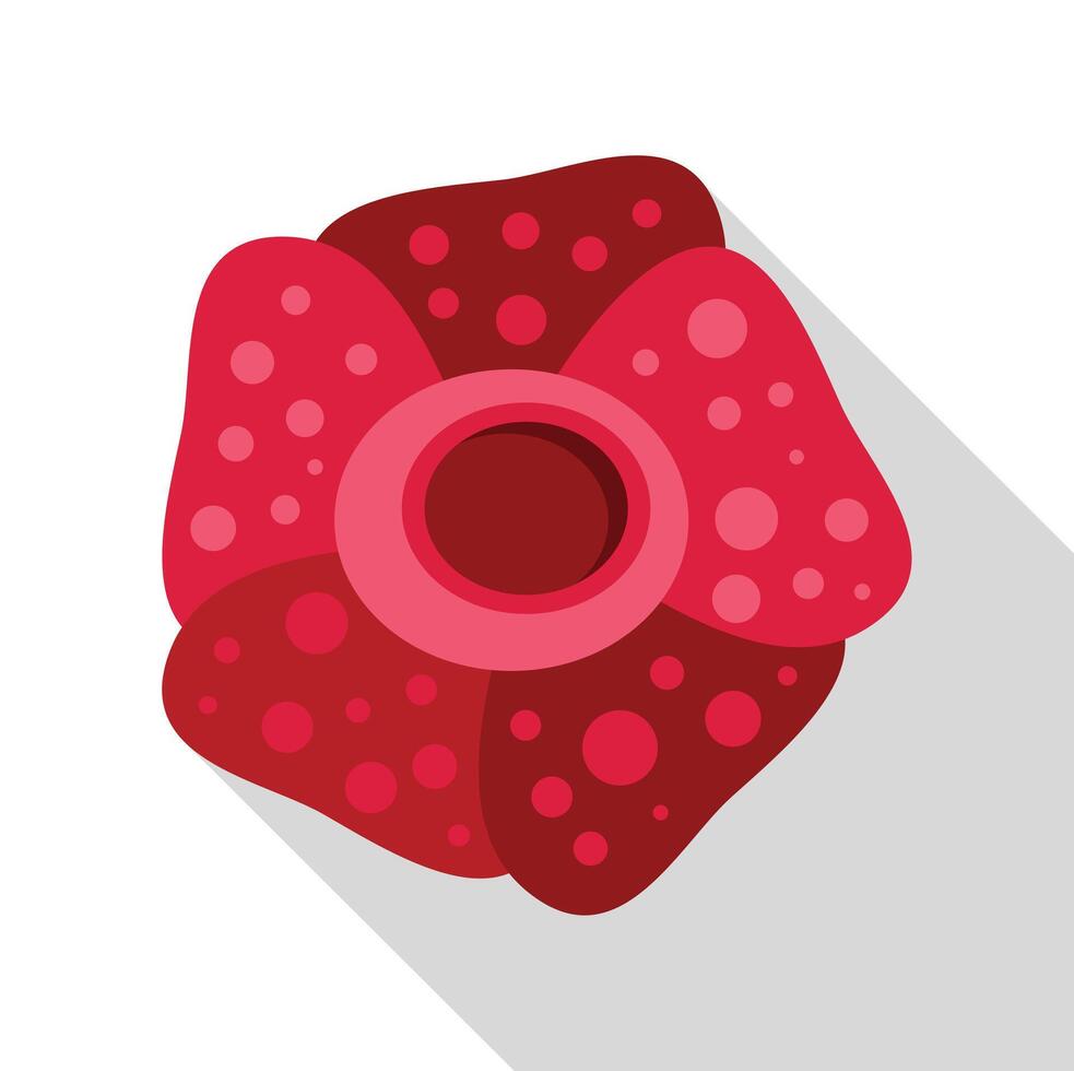 Rafflesia arnoldii flower blooming showing its hole vector
