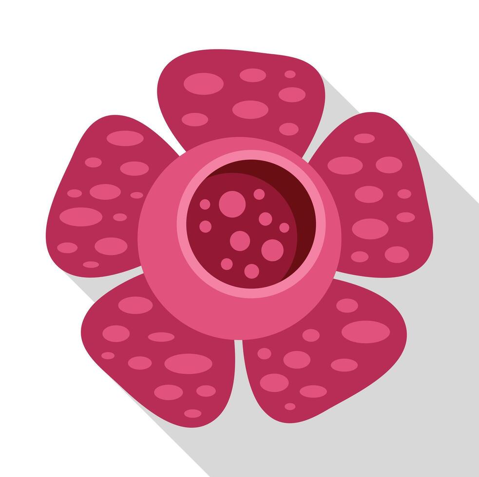 Rafflesia flower growing and showing its opened bud vector