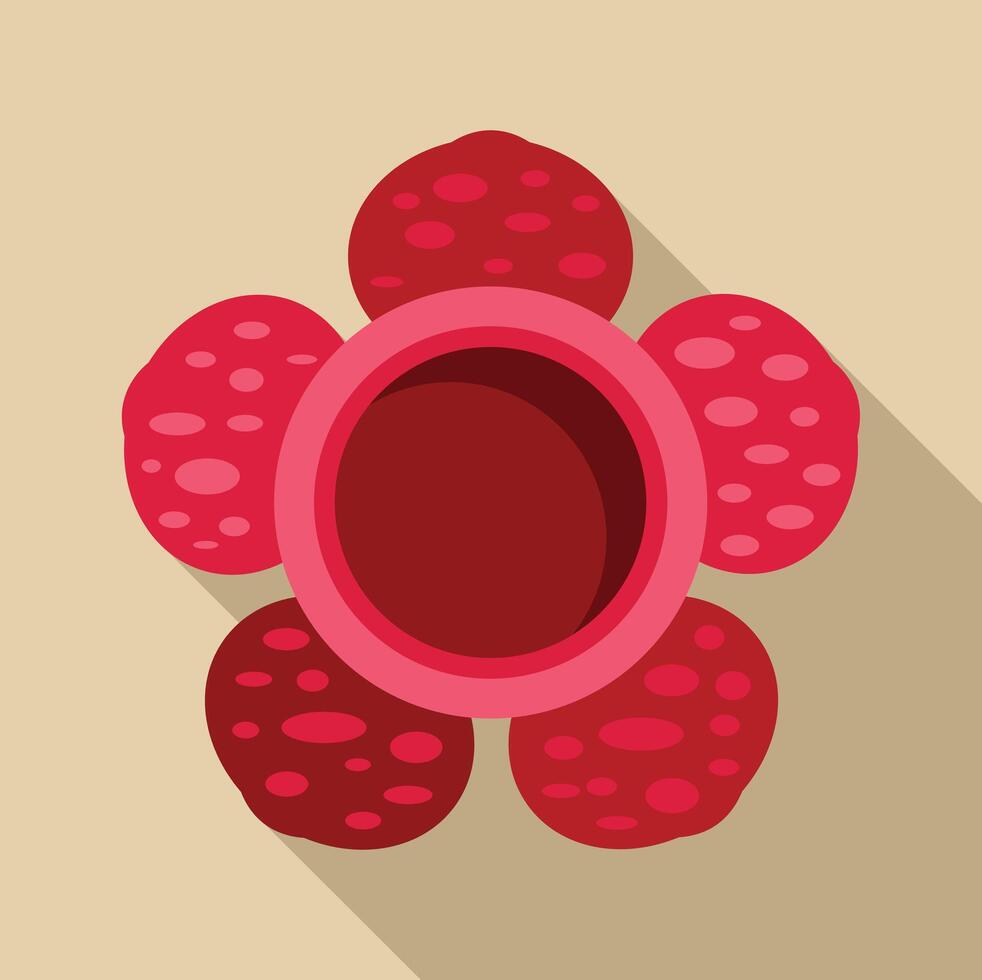 Rafflesia flower blooming showing petals and central hole icon vector