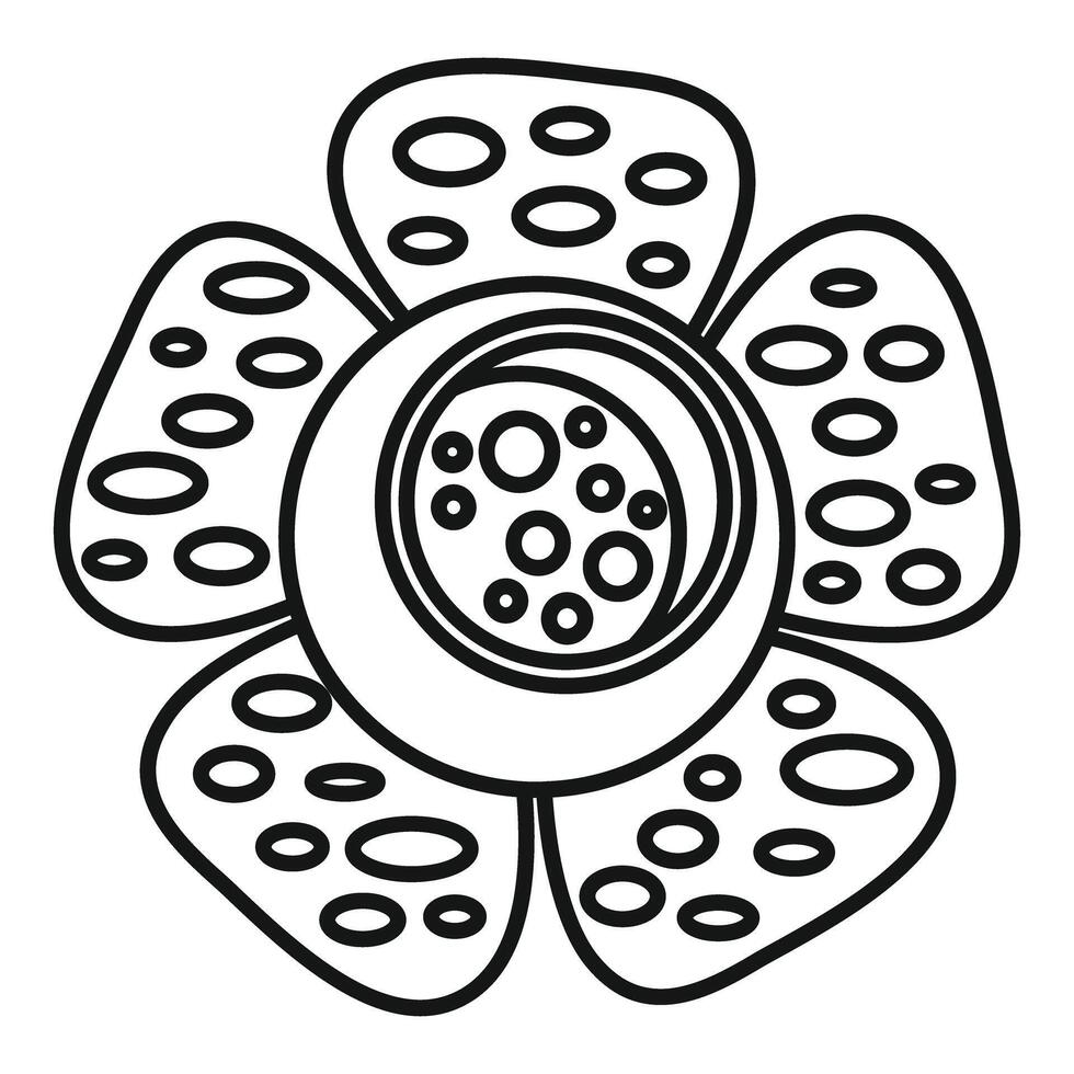 Exotic flower with five petals opening in springtime vector