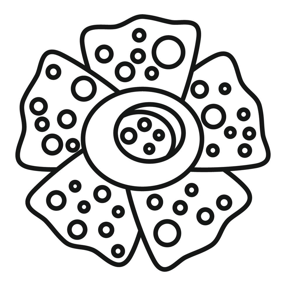 Rafflesia flower blooming line icon showing five petals vector