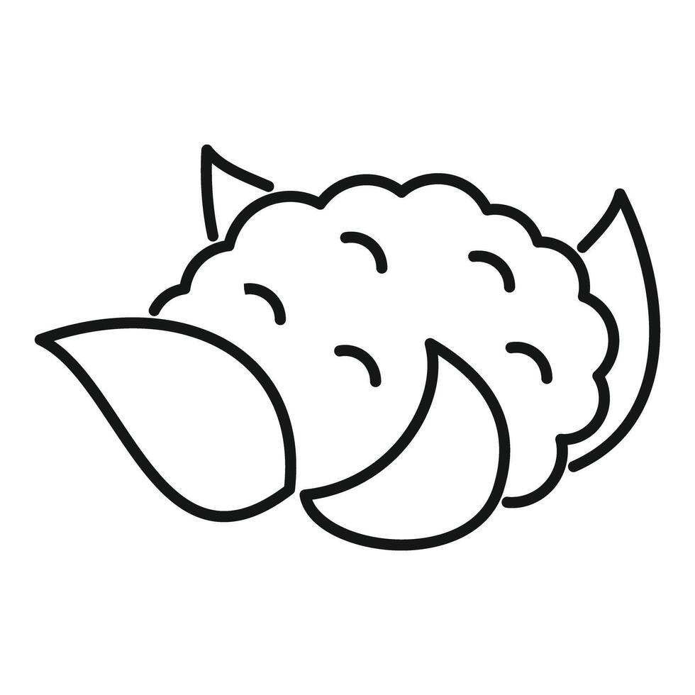 Cauliflower icon showing fresh vegetable and healthy eating vector