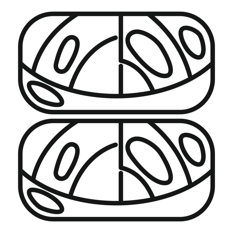Vacuum packed salmon fillet pieces icon showing fish from above vector