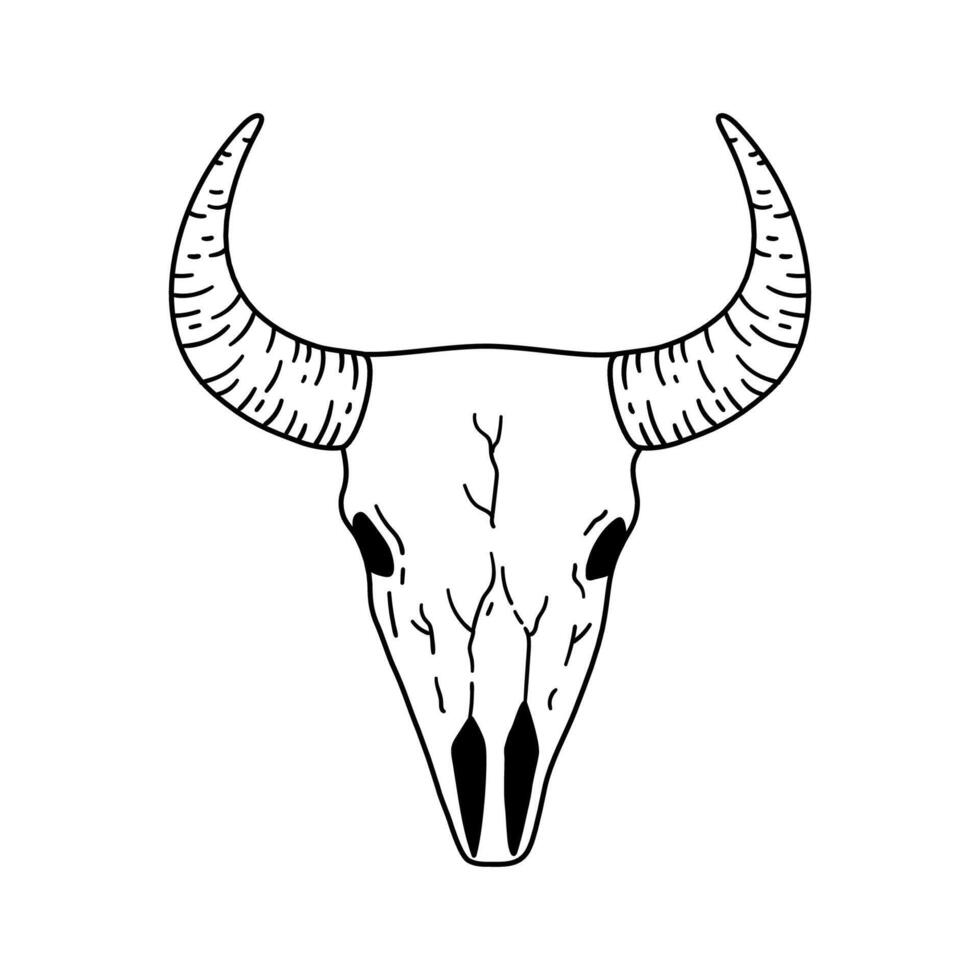 Bison skull in sketch style. Hand drawn illustration. vector
