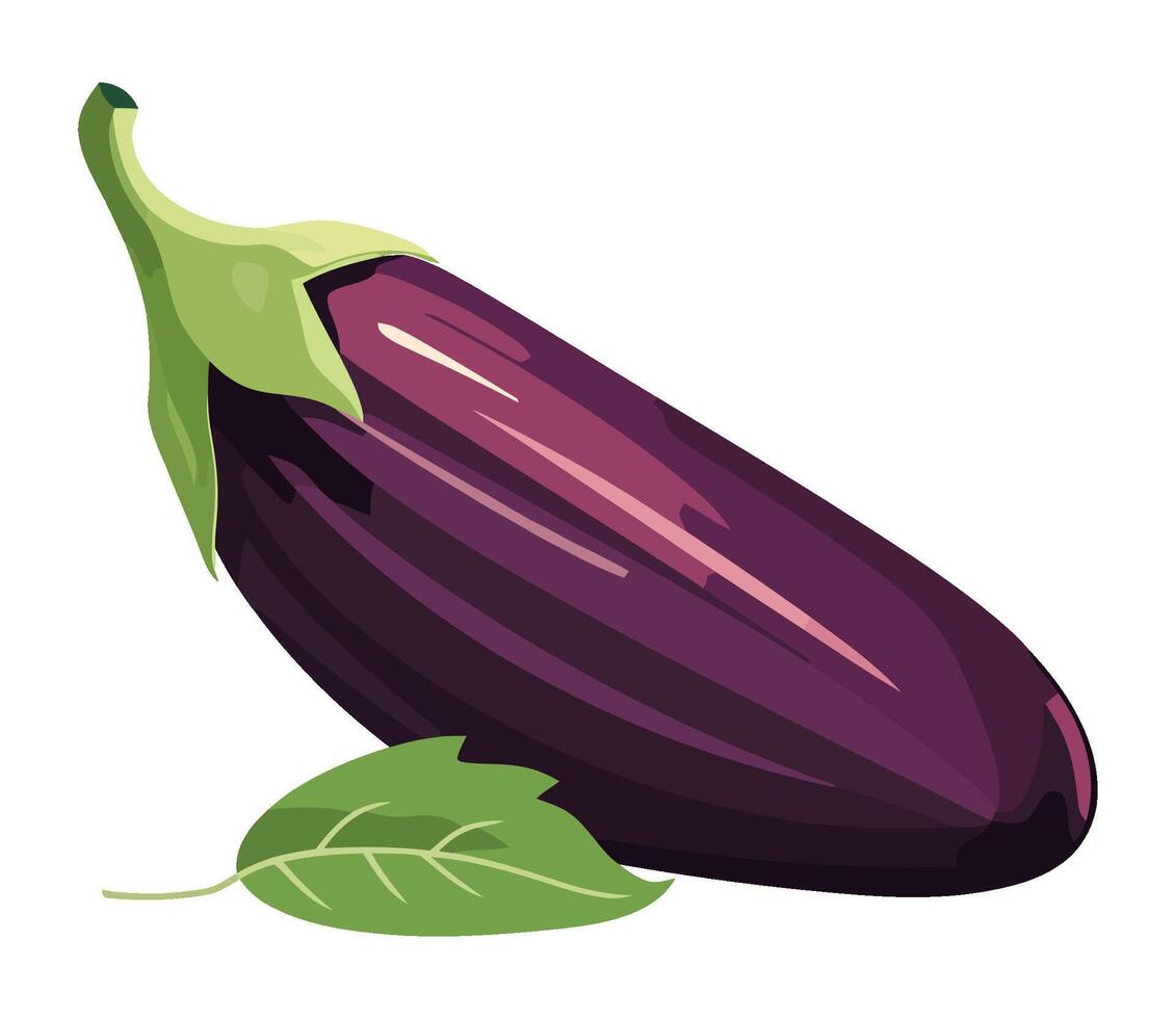 An eggplant is shown on a white background vector