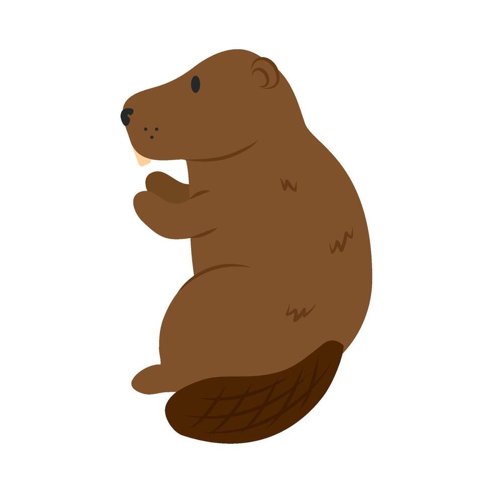 A cartoon groundhog sitting on its hind legs vector