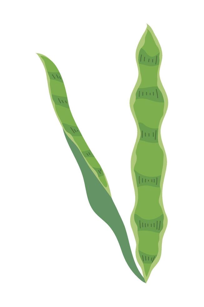 A green plant with leaves on it vector