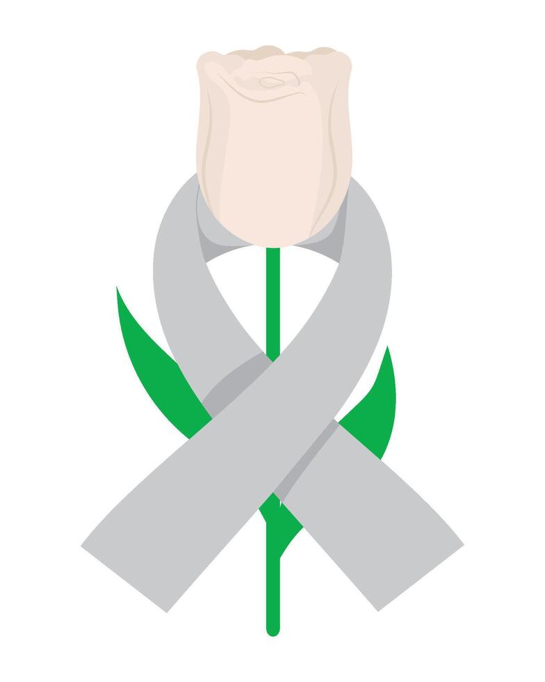 A white rose with a ribbon around it vector
