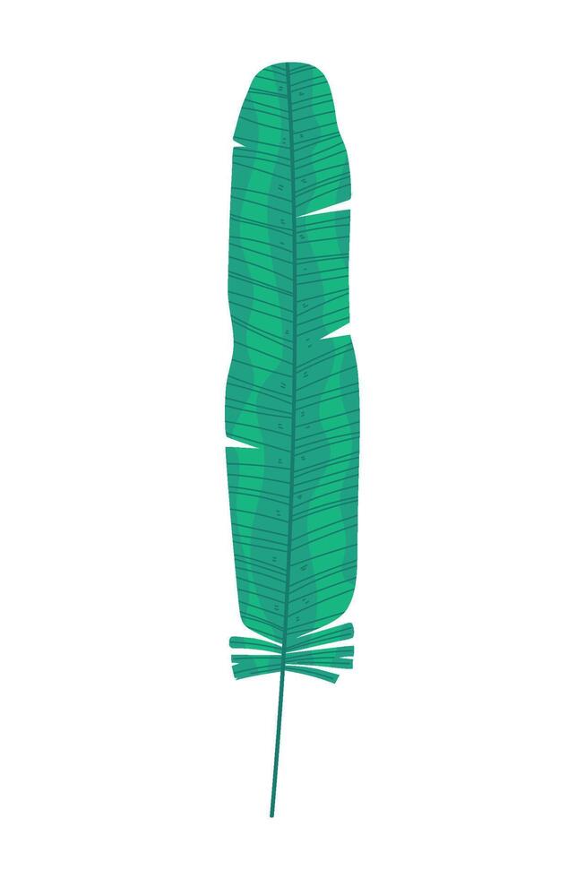 Banana leaf illustration isolated on white background vector
