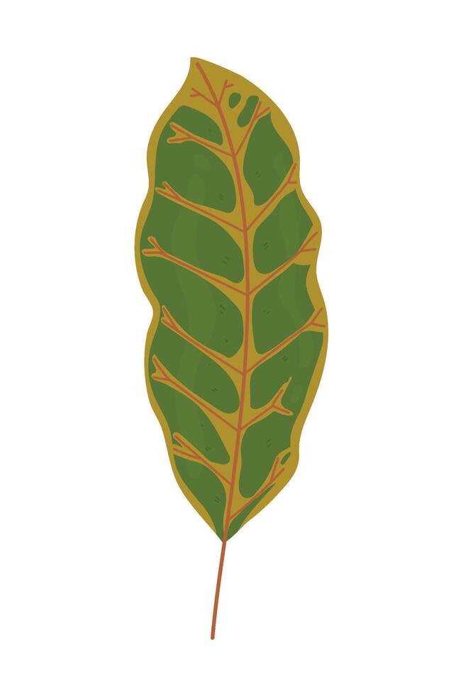 A leaf with a green and brown color vector