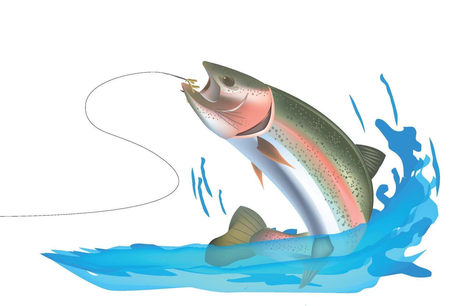 sport fishing trout on the hook vector