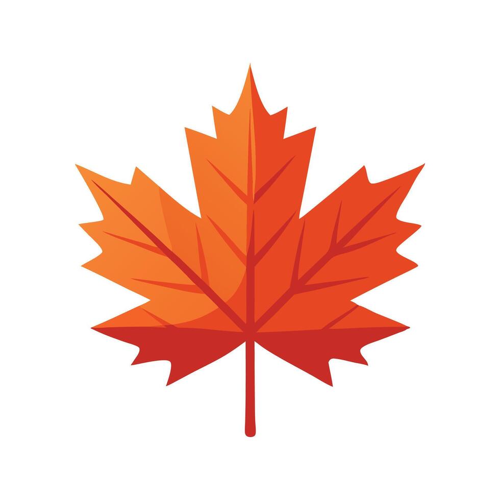 Maple ash leave isolated flat illustration on white background vector