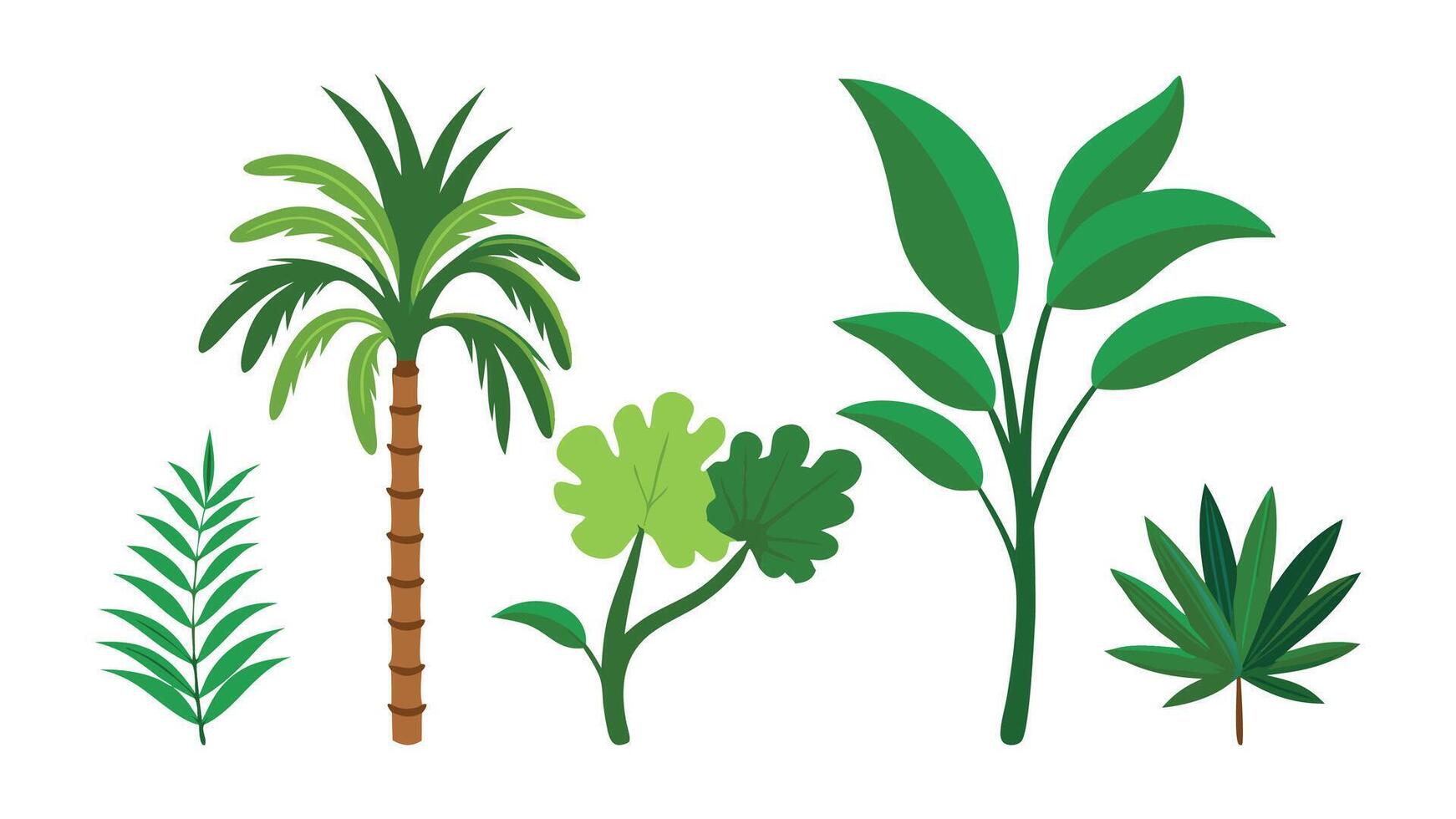 Best tree collection with leaves shrubs isolated flat illustration on white background vector