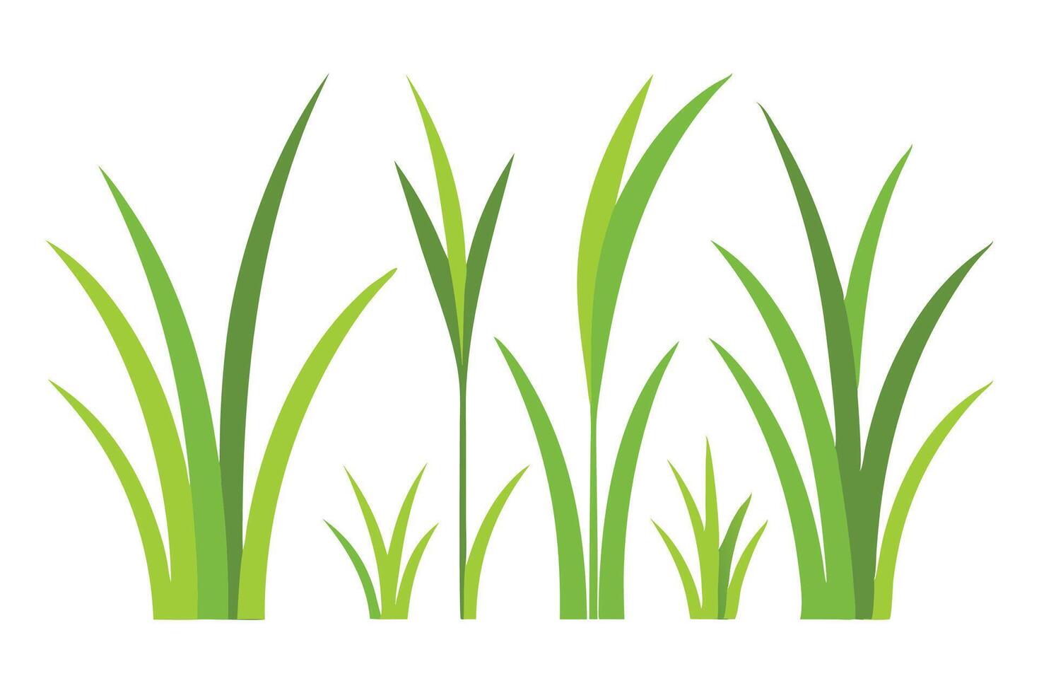 Random shape grass set flat illustration on white background. vector