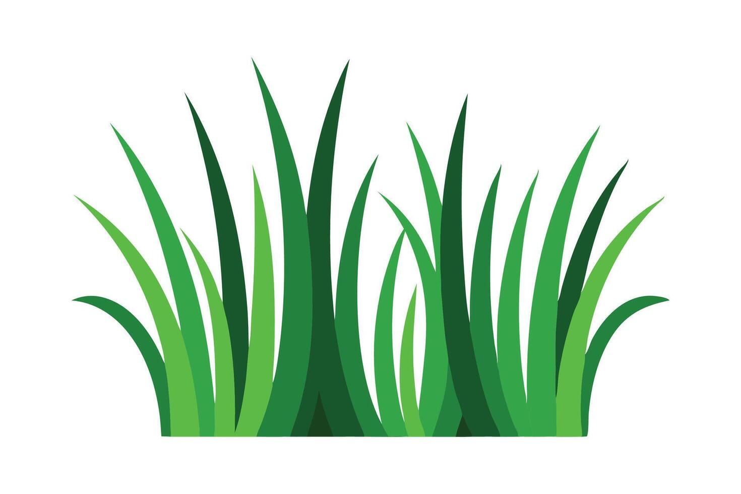 Bentgrass Grass isolated flat illustration on white background. vector