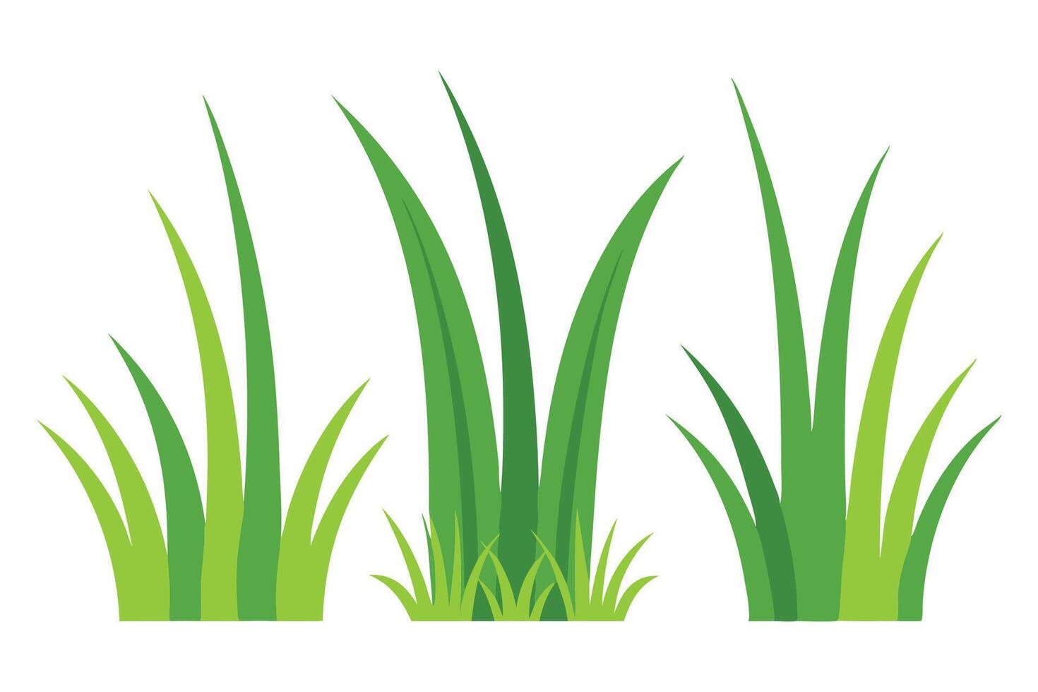 Bermuda grass set isolated flat illustration on white background. vector