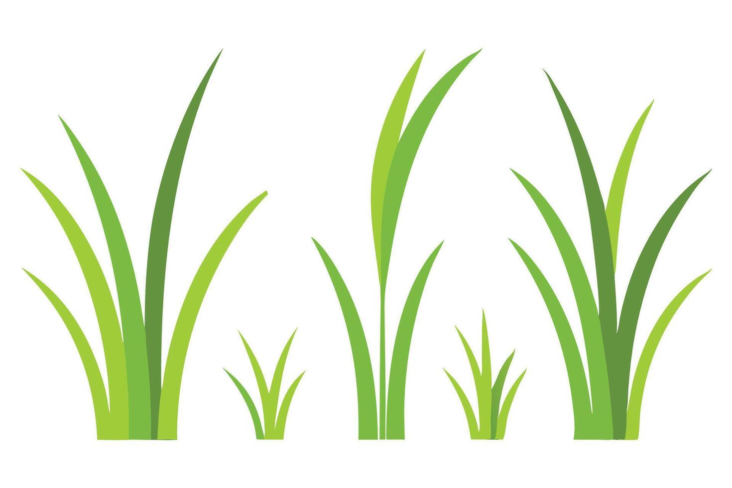 Fine Ryegrass grass set isolated flat illustration on white background. vector
