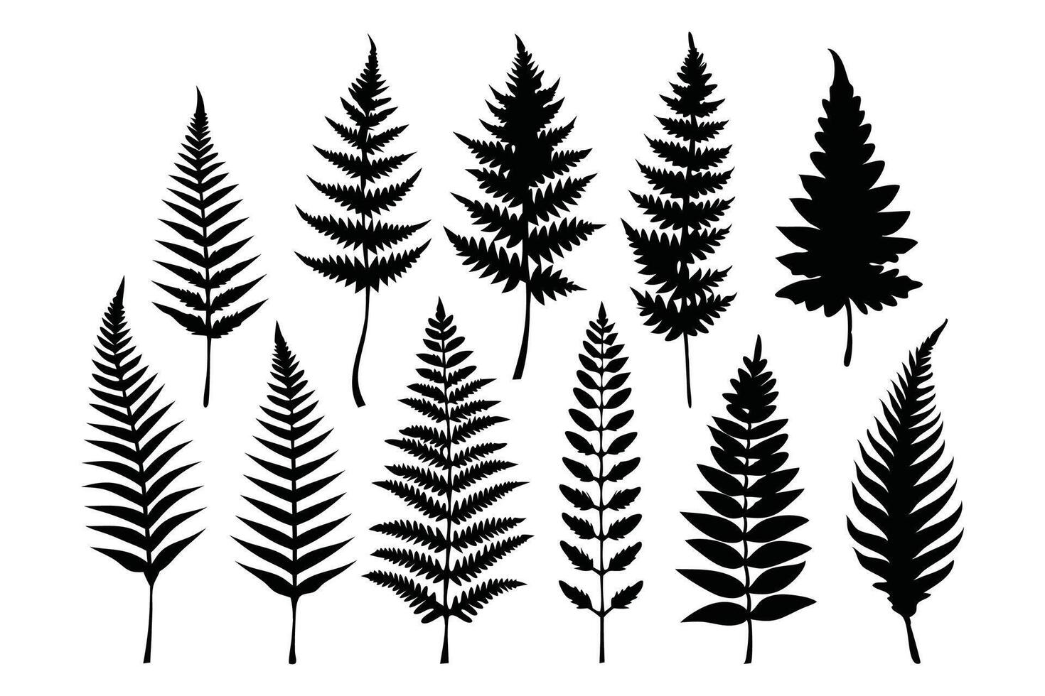 Fern silhouette set flat illustration on white background. vector