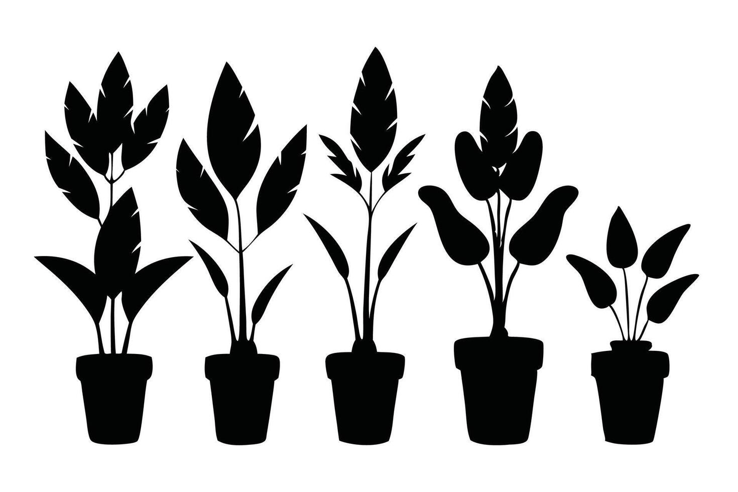 Zamioculcas zamiifolia silhouette set flat illustration on white background. vector