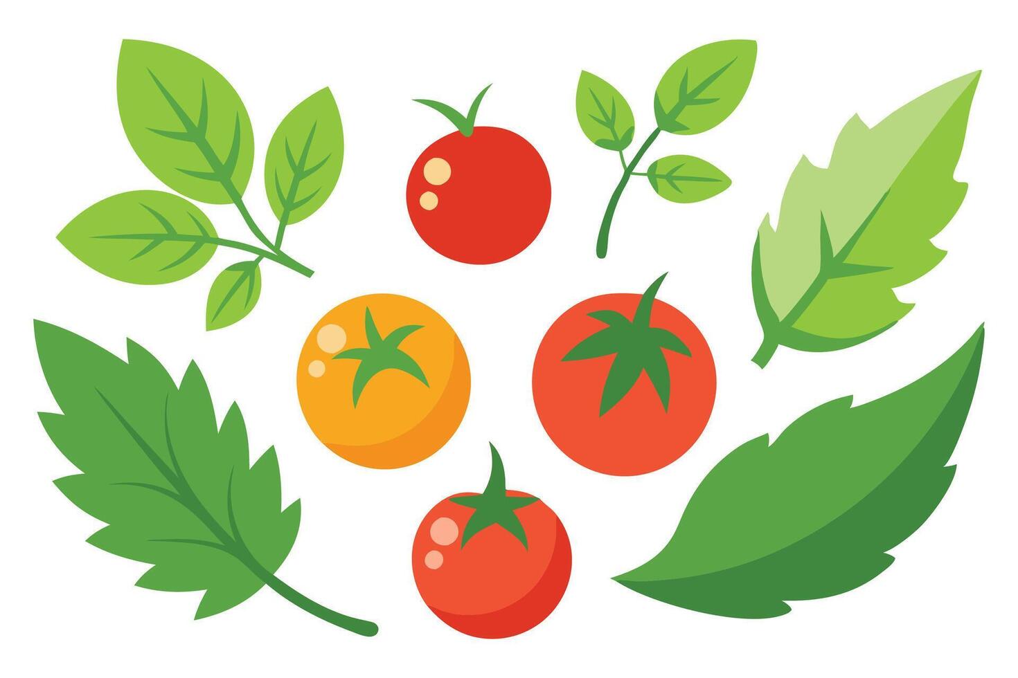 Tomato with Leaves set isolated flat illustration on white background. vector