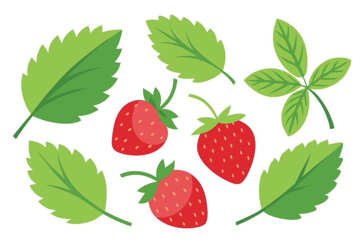 Strawberry with Leaves set isolated flat illustration on white background vector