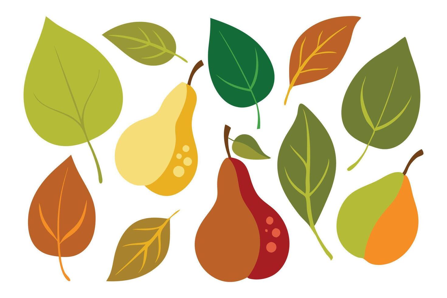 Pear with Leaves set isolated flat illustration on white background vector