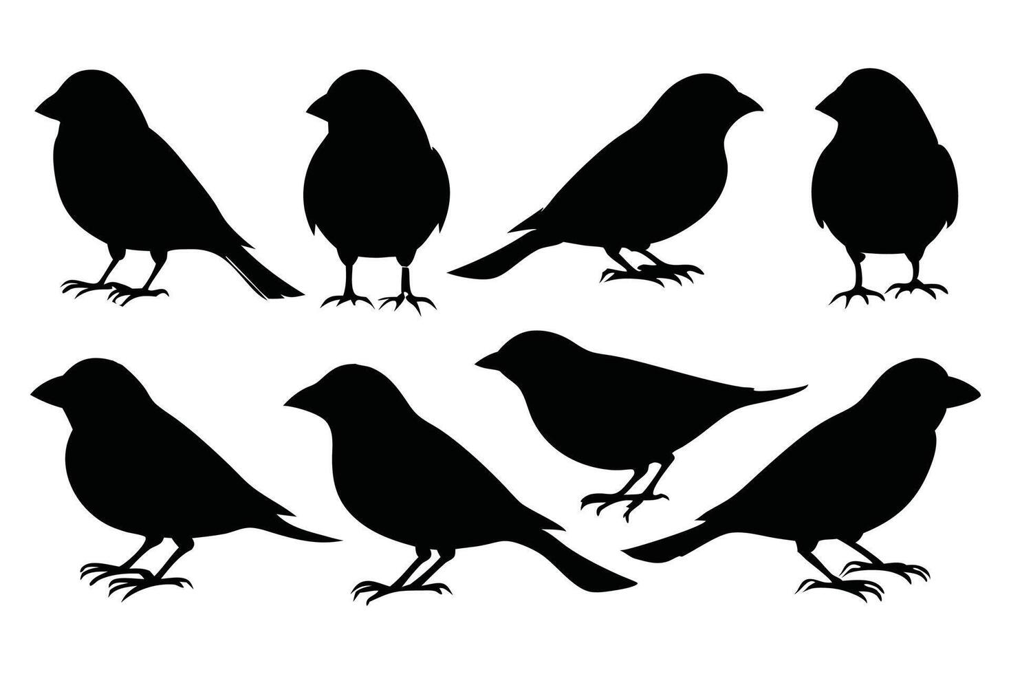 Finch bird Black silhouette isolated flat illustration set on white background vector