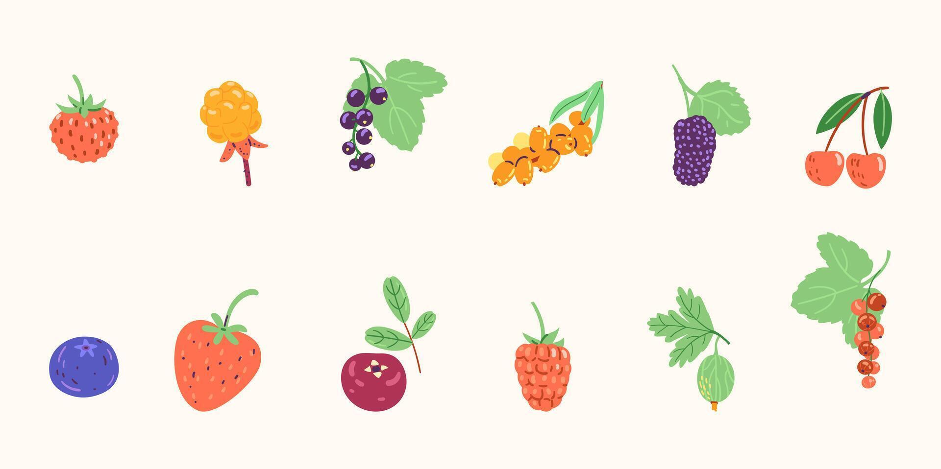 Berries illustrations collection isolated. vector
