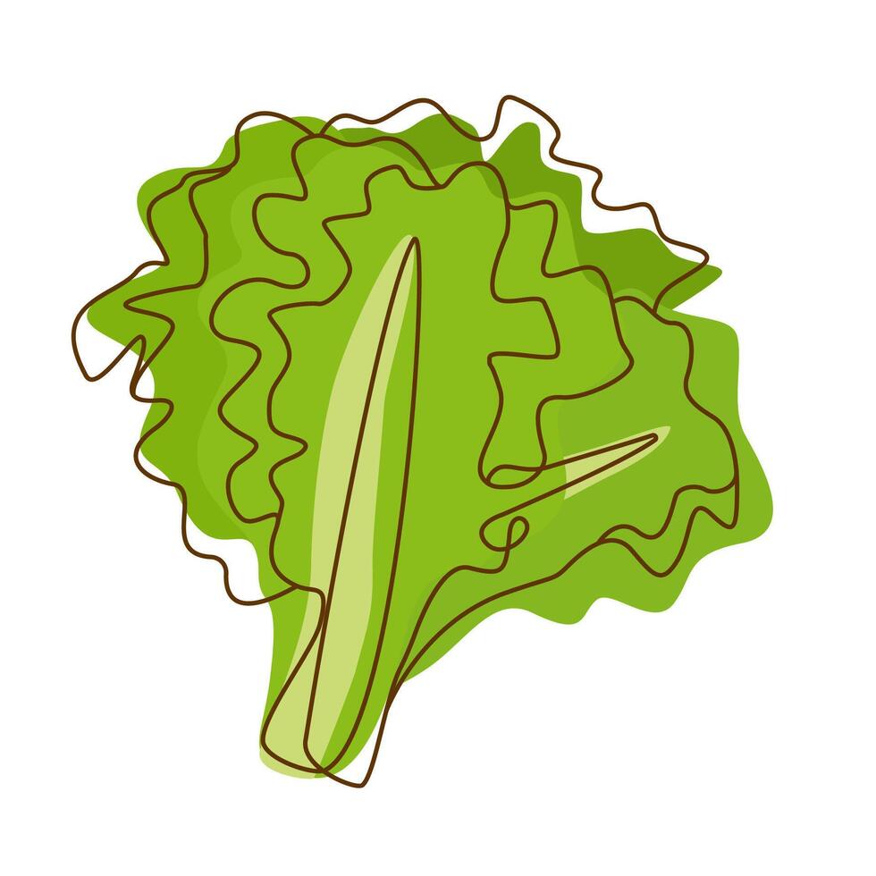 Healthy Green Food Ingredient Lettuce Leaf Vegetable in Line Art Design vector