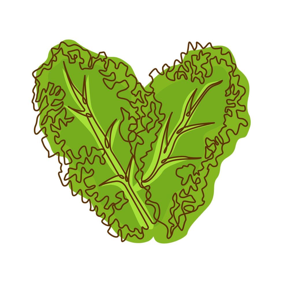 Healthy Green Food Lettuce Leaf Vegetable in Line Art Design vector