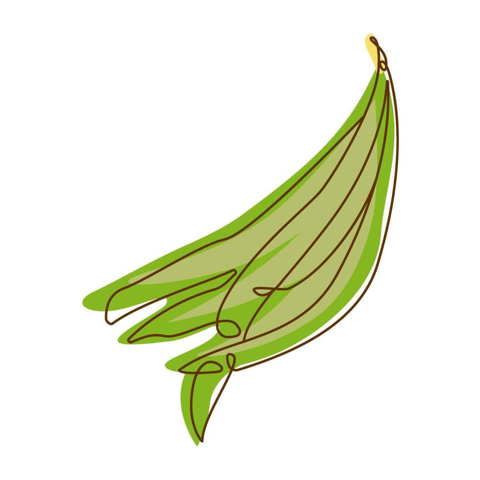 Healthy Green Food Ingredient Beans Vegetable in Line Art Design vector