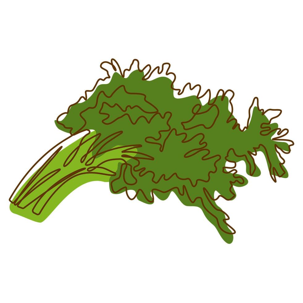 Healthy Green Food Ingredient Celery Leaves Vegetable in Line Art Design vector