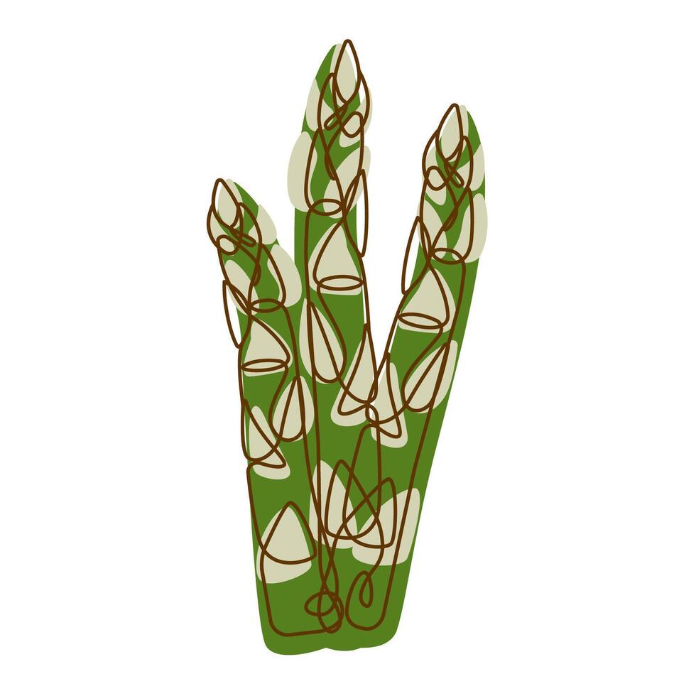 Healthy Green Food Ingredient Asparagus Vegetable in Line Art Design vector