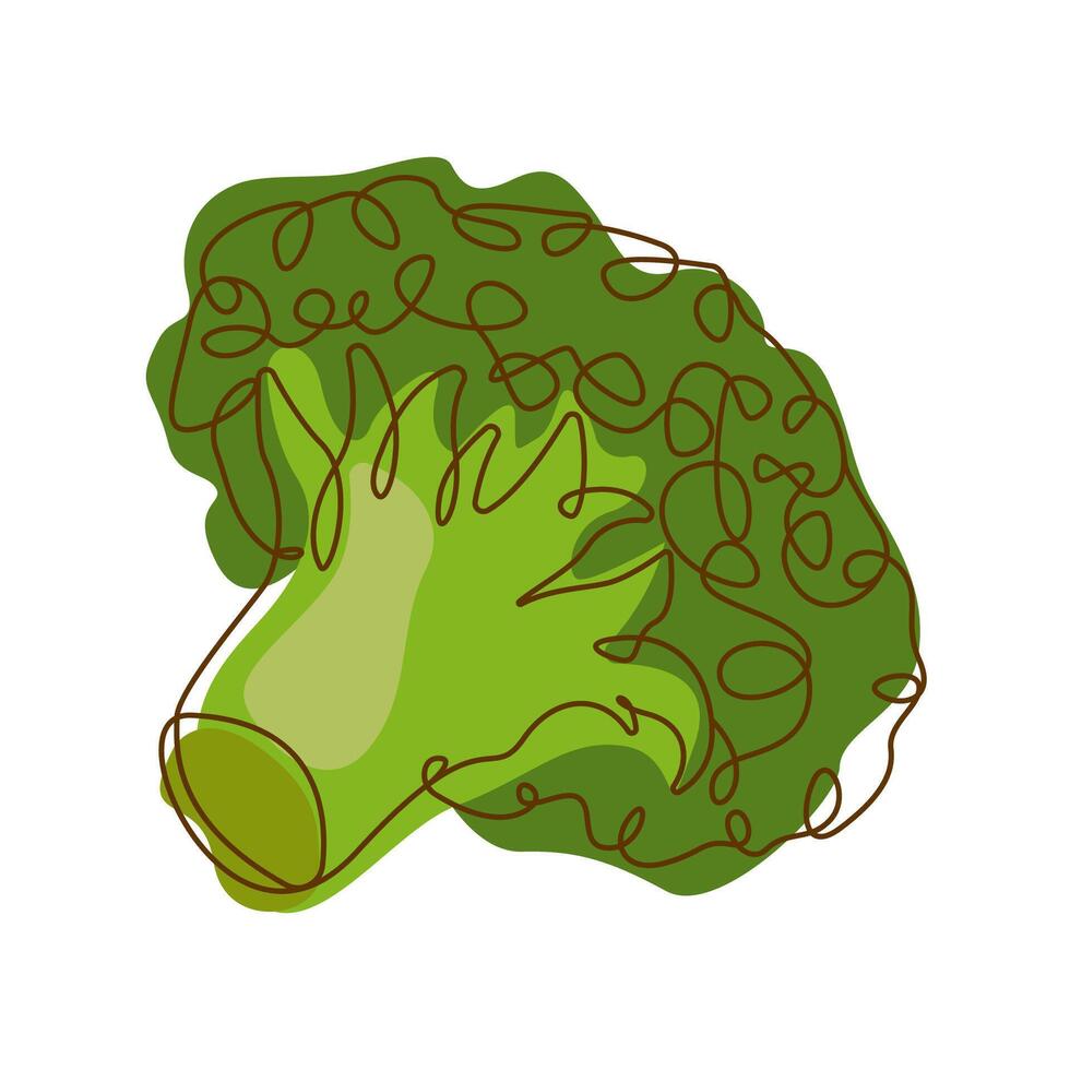 Healthy Green Food Ingredient Broccoli Vegetable in Line Art Design vector