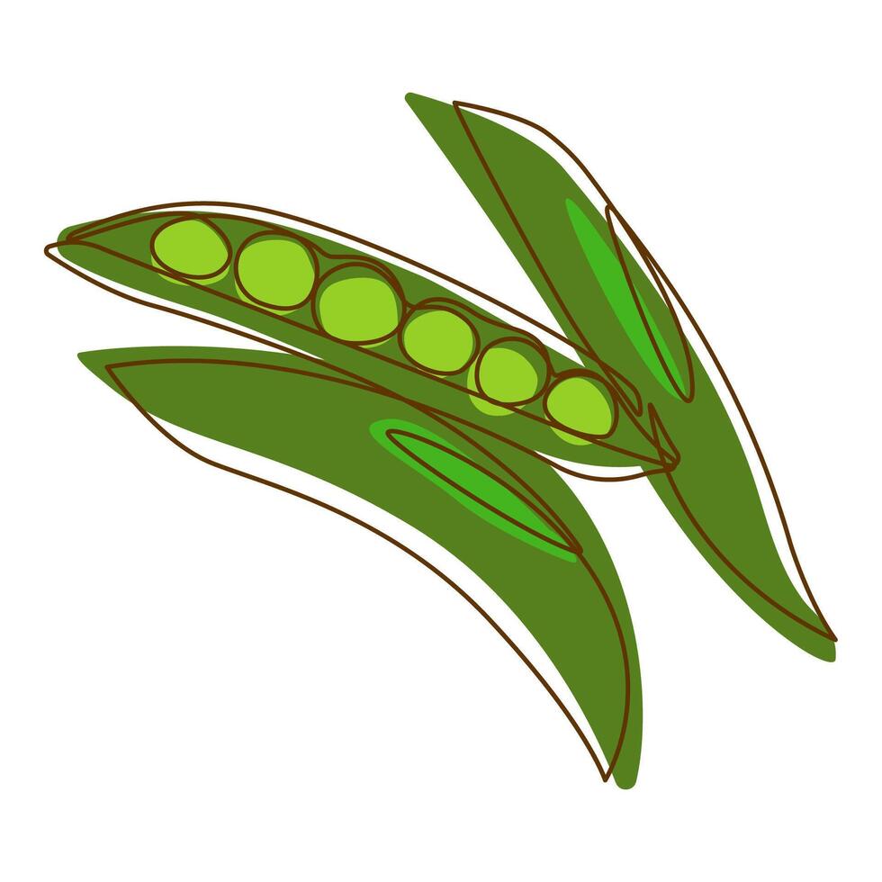 Healthy Green Food Ingredient Peas Vegetable in Line Art Design vector