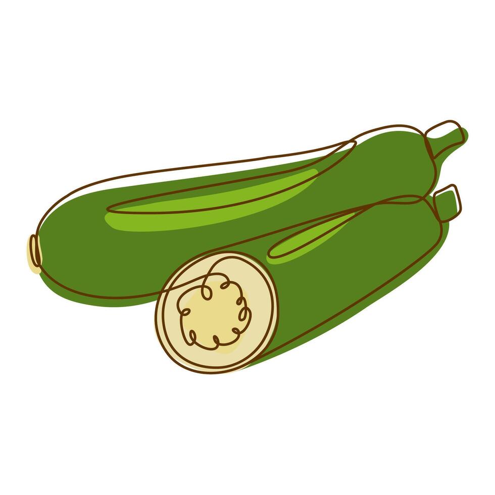 Healthy Green Food Ingredient Zucchini Cucumber Vegetable in Line Art Design vector