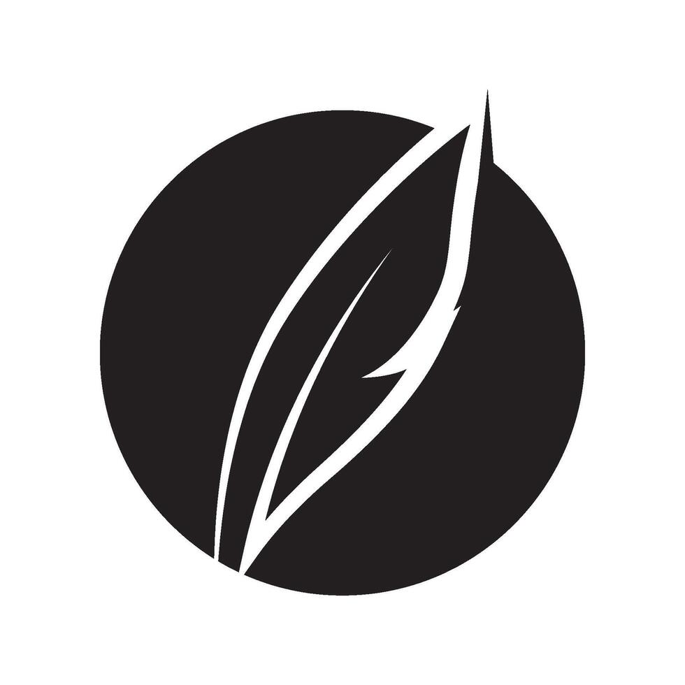 Feather logo design vector