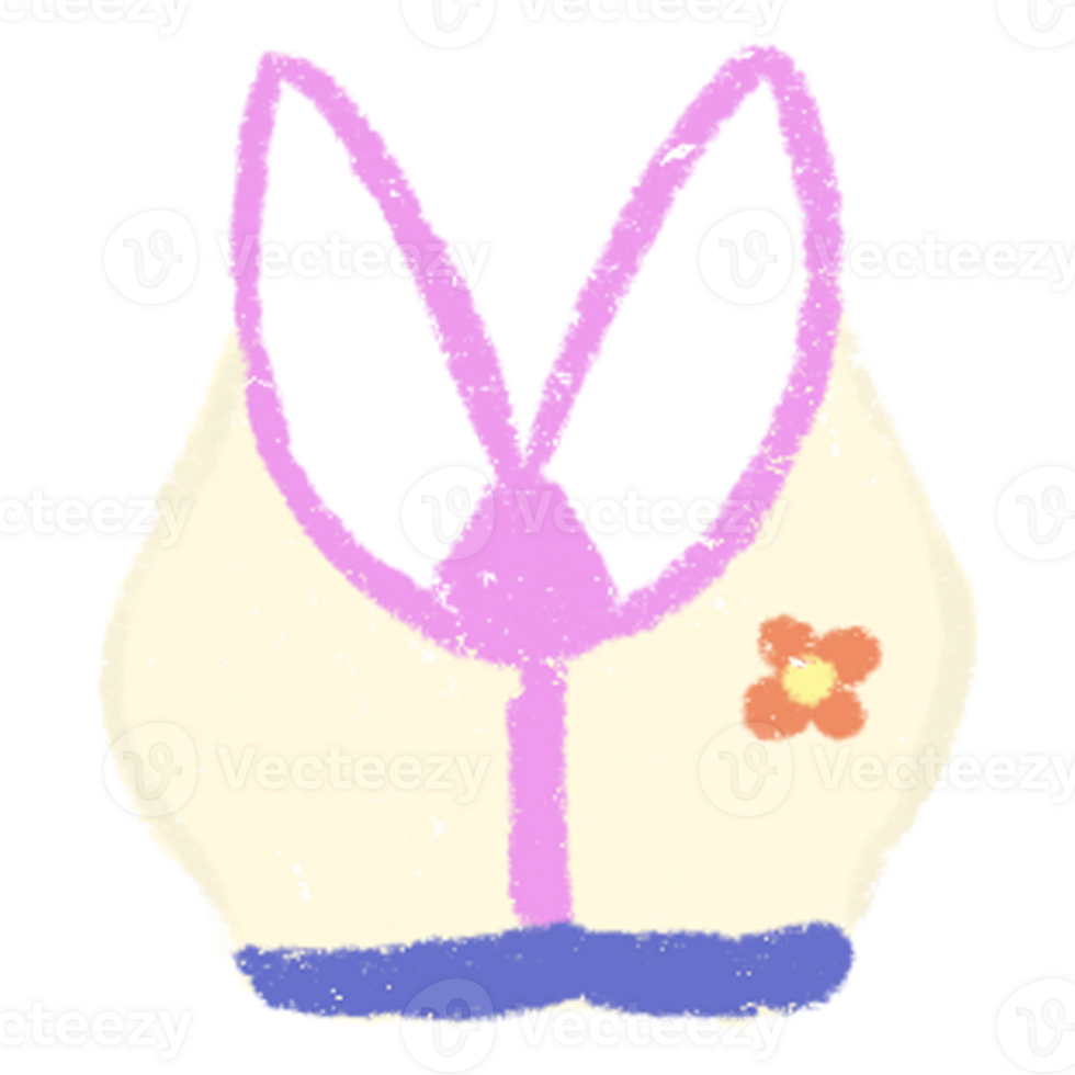 Fitness bra top png