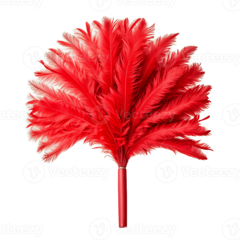 Red Feather Duster Isolated on Transparent Background png