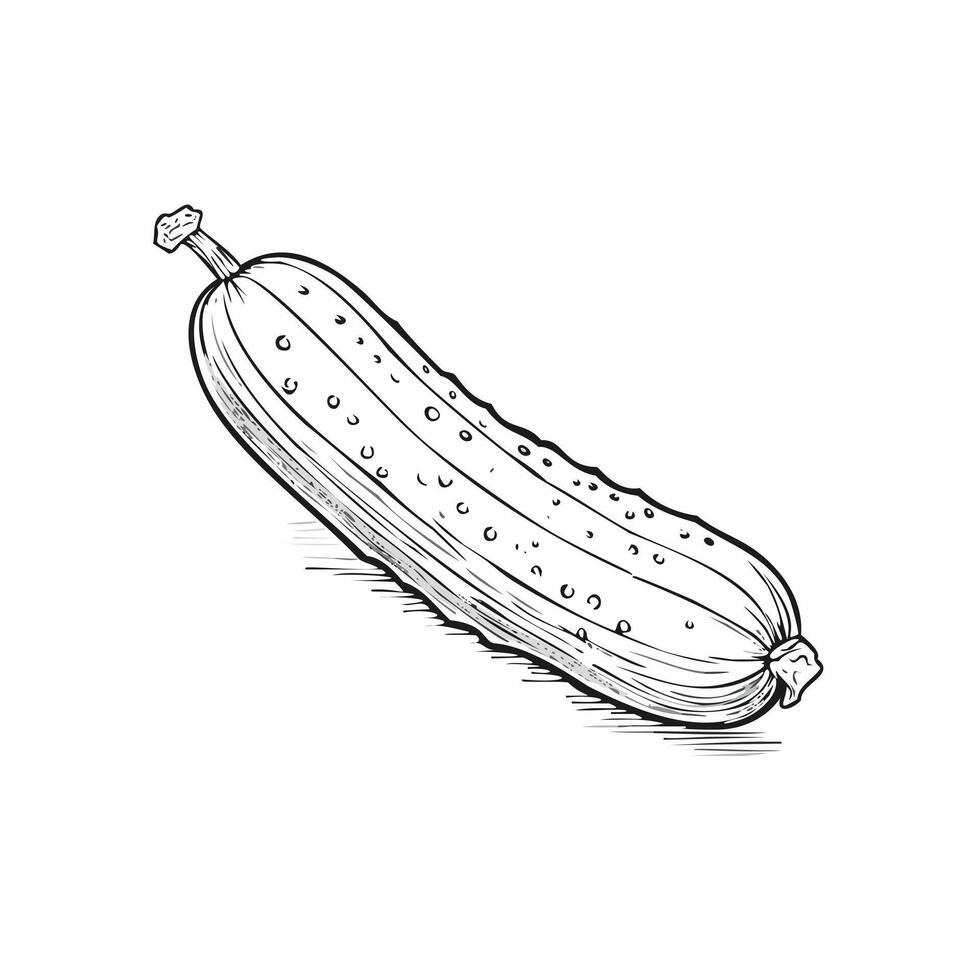 Cucumber Vegetable Food Organic Fresh Vitamin Healthy Vegan Sketch Style vector