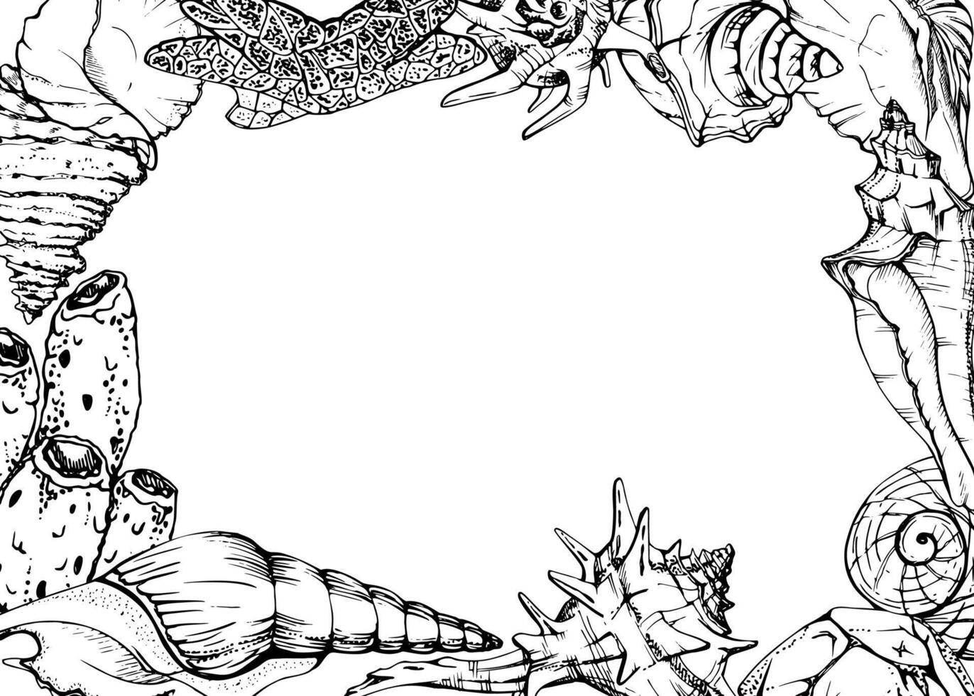 Marine life, sea ocean underwater creatures fish, shells algae seaweed, Ink and pen sketch hand drawn. Border frame illustration, stylized, isolated on white. For zoo shop, aquarium, cosmetics, resort vector