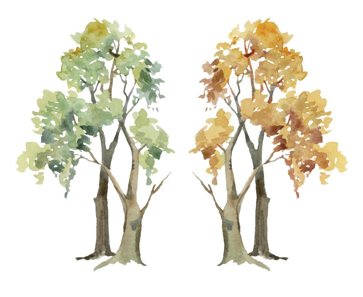 Scenery landscape deciduous forest fir spruce trees, oak cherry ash, summer and autumn leaves hand drawn in watercolor. Single isolated element for tourism, resort ads, hiking camping sites vacation. vector