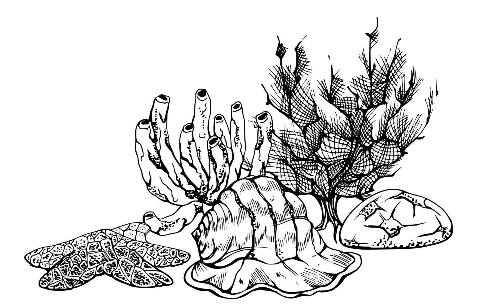 Marine life, sea ocean underwater creatures fish, shells algae seaweed, Ink and pen sketch hand drawn. Composition illustration, stylized, isolated on white. For zoo shop, aquarium, cosmetics, resort vector