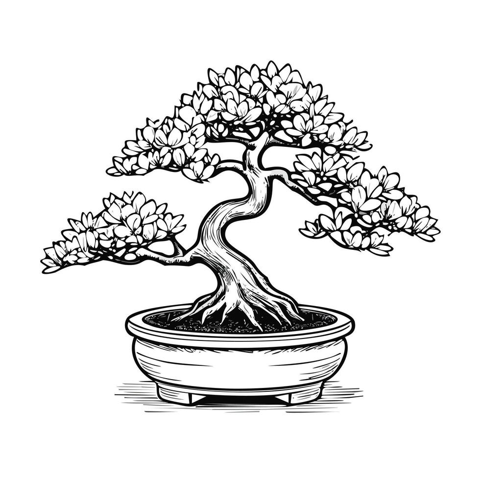 Bonsai Plant Leaf Green Nature Pot Foliage vector