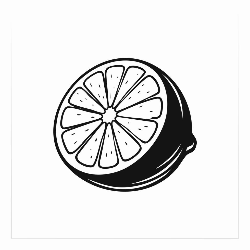 Lime Fruit Food Organic Fresh Juicy Vitamin Healthy Sketch Style vector