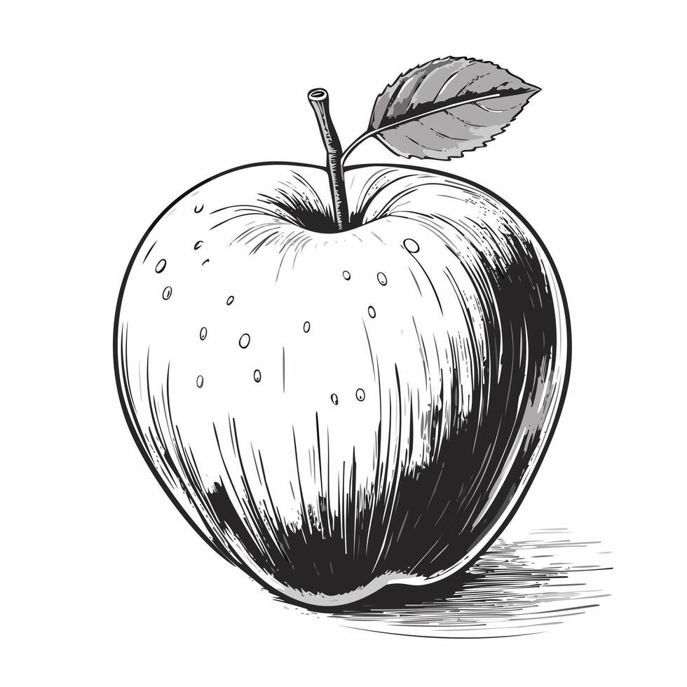 Apple Fruit Food Organic Fresh Juicy vector